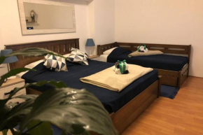 Apartments Balkanska City Center